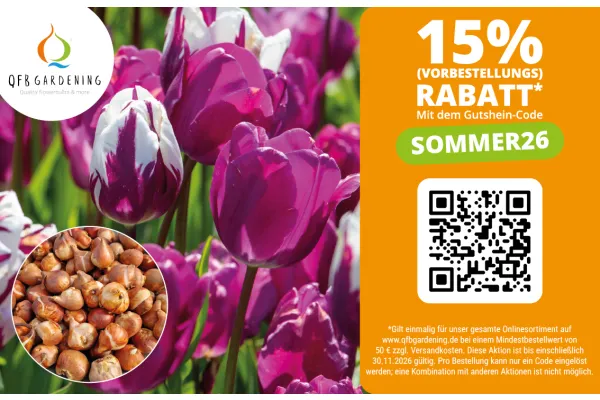 15% RABATT | Blumenzwiebeln von höchster Qualität aus den Niederlanden